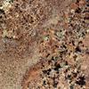 Juperana Bordeaux Granite 